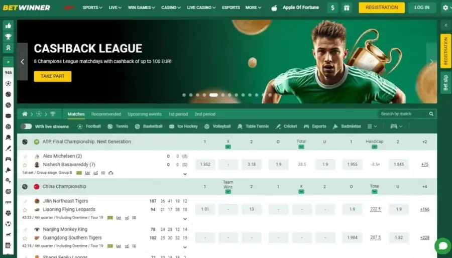 Ipl BetWinner Game